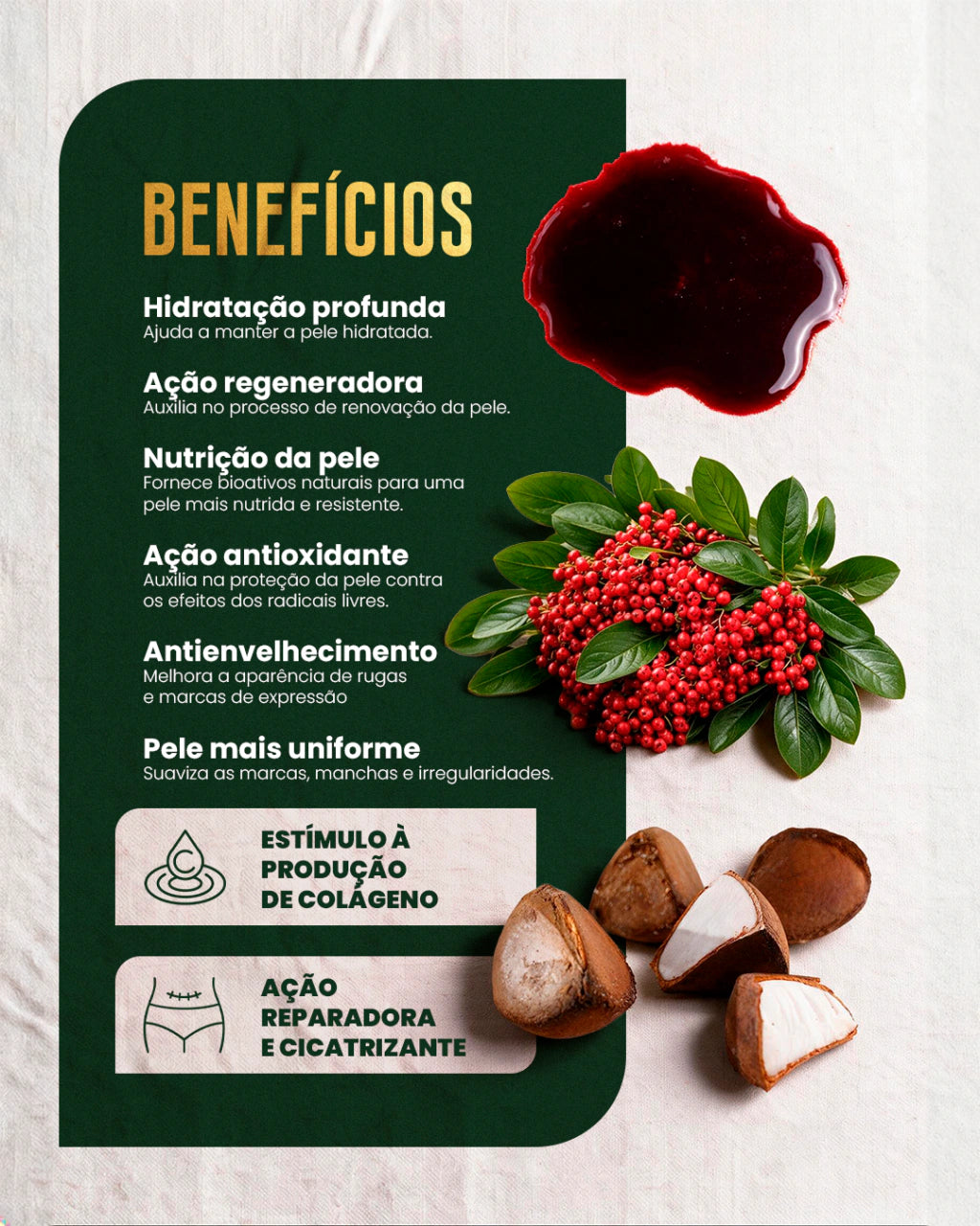 Kit Seiva Sangue de Dragão